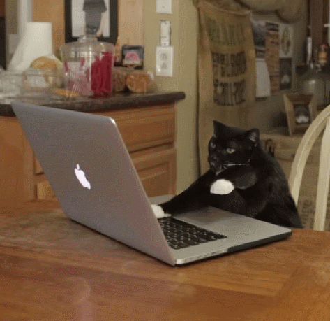 image.gif